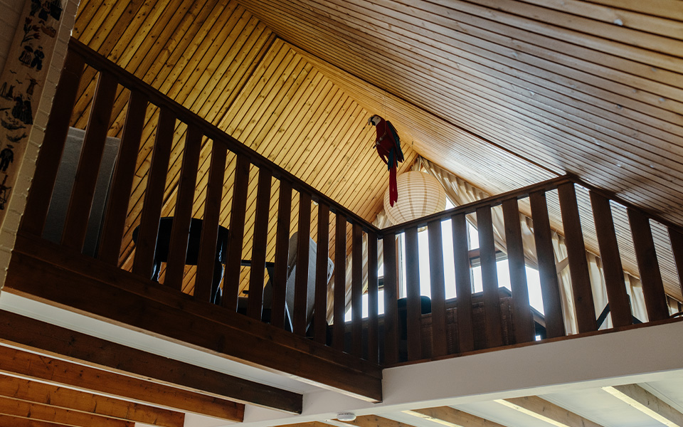 de hannen 8 oudega vakantiewoning 12 de hannen 8 oudega vakantiewoning 12